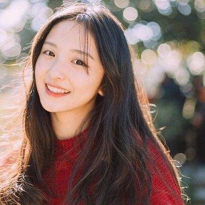 龙与巫师之塔游戏下载